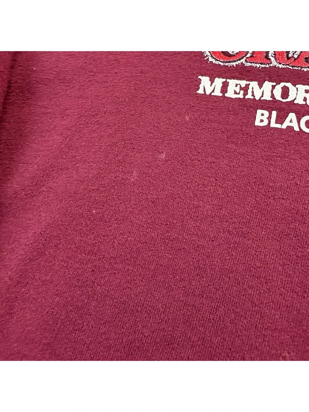 Vintage Crazy Horse Black Hills Native American Crewneck Sweatshirt Large (?)